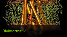 Bioinformatik und Lebenswissenschaften