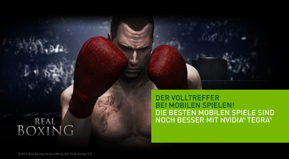 WMFG_1_TEGRAZONE_REAL_BOXING