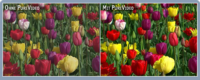 Präzise, lebendige Farben