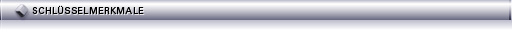 center_key-features_de.jpg