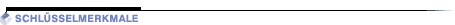 Key Features