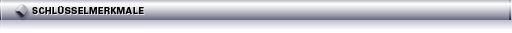 center_key-features_de.jpg