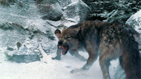 Kampf im Schnee