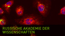 Russische Akademie der Wissenschaften