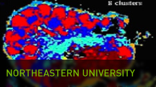 Northeastern University