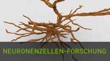 Neuronenzellen-Forschung