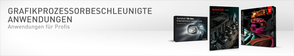 Grafikprozessorbeschleunigte Anwendungen