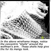 wolf_shells_txt.jpg