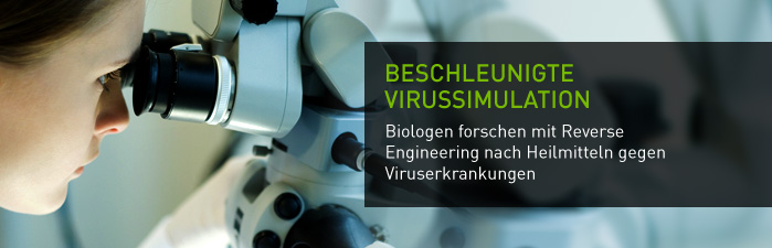 Beschleunigte Virussimulation