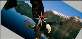 Adobe Photoshop CS4 Adobe Photoshop CS4